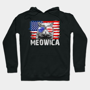 Cat Patriotic 4th Of July Meowica American Flag Sunglasses Hoodie